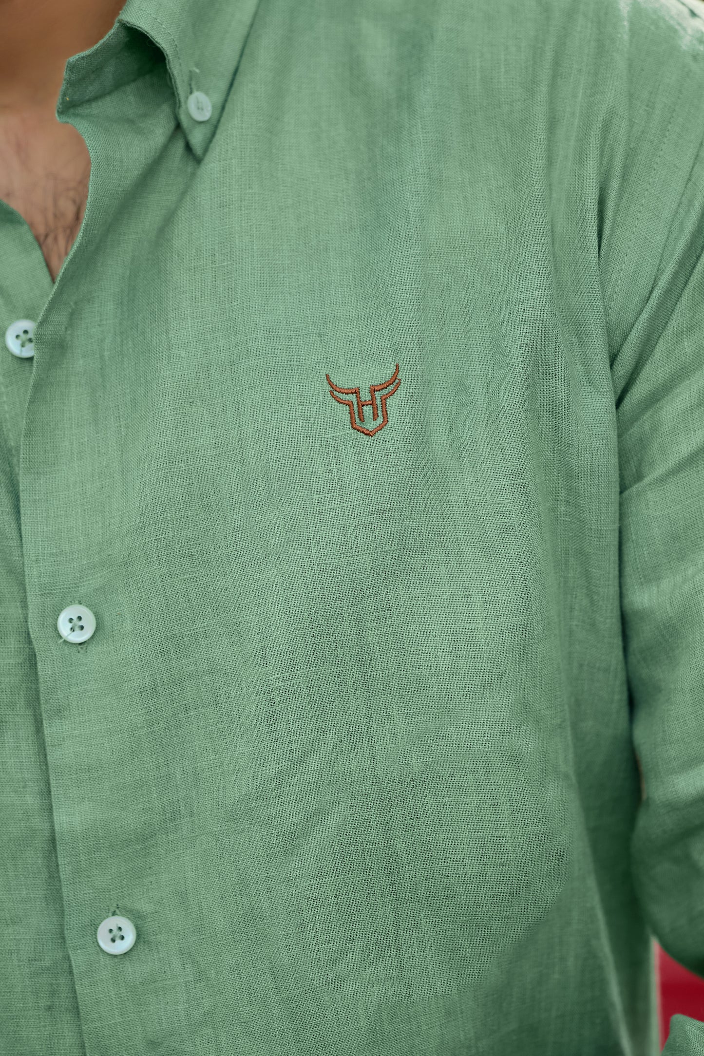 100% Linen Solid Shirt